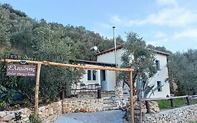 Ελαιώνας - Solar Energy House